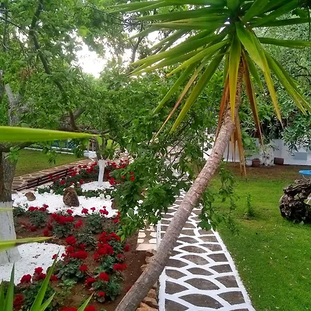 Apartament Emilia *